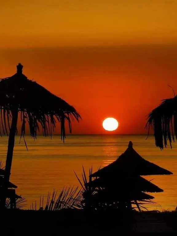 Beach umbrellas at sunset