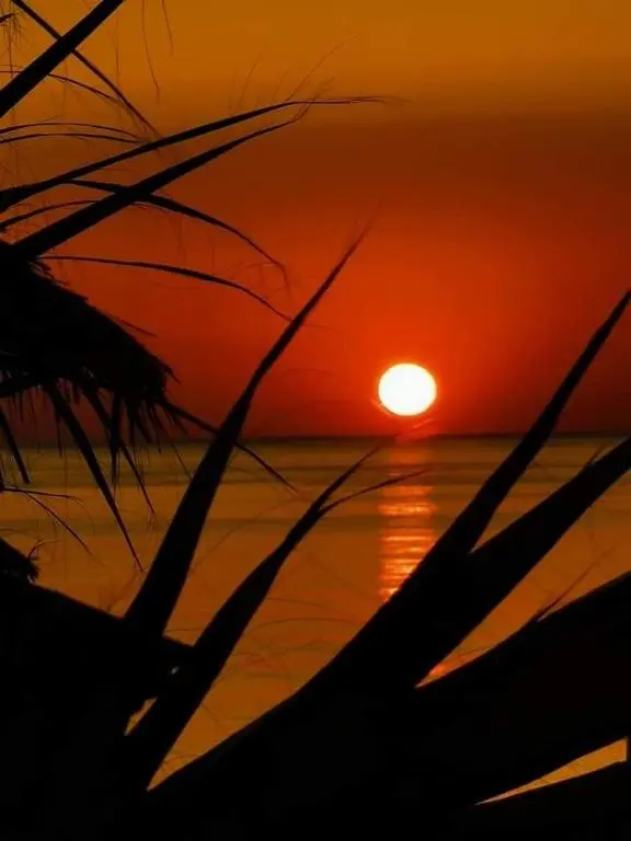 Golden hour at Velika