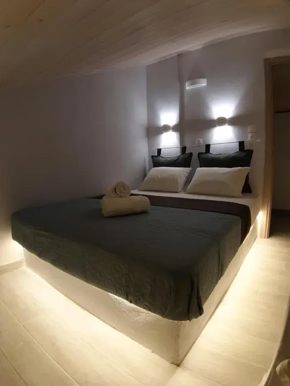 Superior Suite 1 shower